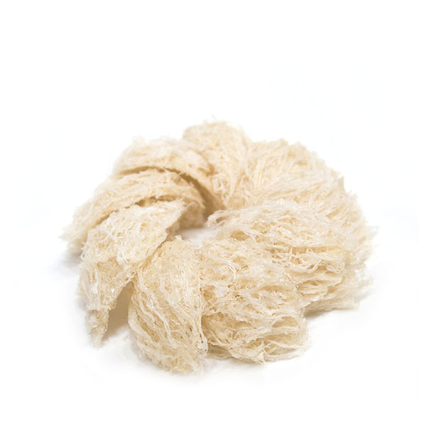 Yến Sào Tinh Chế | Premium Bird's Nest